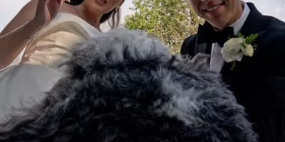 Mariage et chien