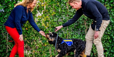 Mark Verhoef met zijn hulphond Shiro