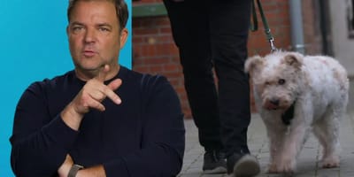 Martin Rütter freut sich für Rexi