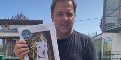 Martin Rütter sucht Zuhause für Baloo