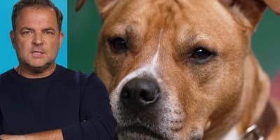 Martin Rütter und Geronimo