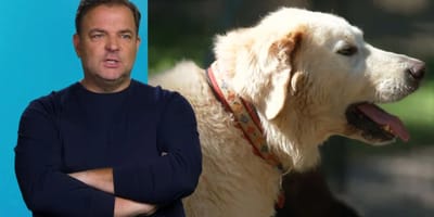 Martin Rütter und Herdenschutzhund Willi