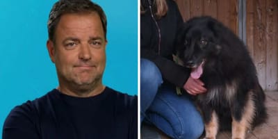 Martin Rütter und Jimmy