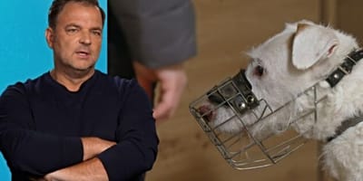 Martin Rütter und Tierheimhund Elvis