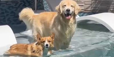 Maui et Ruby