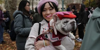 meer dan 150 ex-asielhonden doen mee aan optocht door Londen