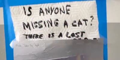 Message dans l'immeuble