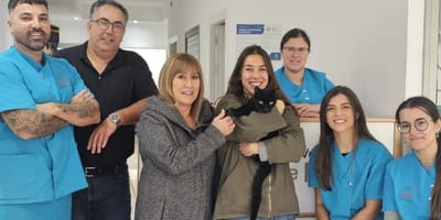 milagro-navidad-gato-regresa-casa-tenerife