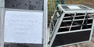 Milos Käfig und der Brief