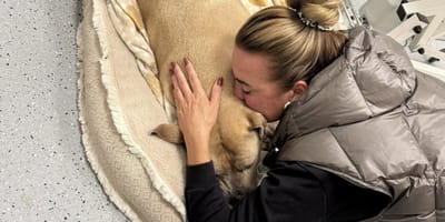 Monique Westenberg geeft update over zieke hond Gioai