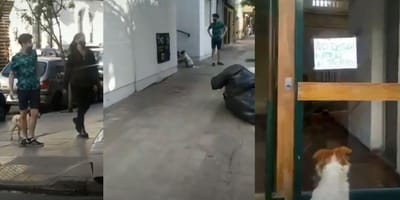 Montage eines Mannes, der einem verlorenen Hund durch die Straßen folgt