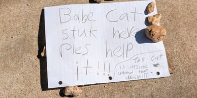 Note left for trapped kitten