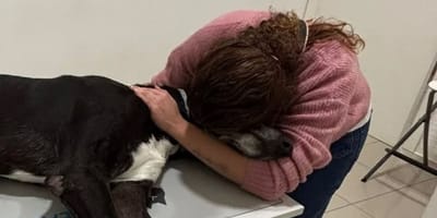 mujer-abraza-perro-fallecido