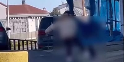 mujer-maltrata-perro-santiago-compostela-galicia