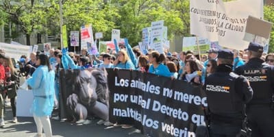 mujeres-veterinarias-manifestaciones-huelga-veterinaria-2025