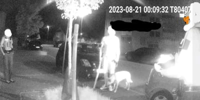 Photo de nuit d'un propriétaire de chien et de deux policiers