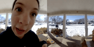 Neighbour through ring doorbell looking for dog