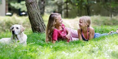 Nieuwe vakantiewoningen Centerparks speciaal voor de hond
