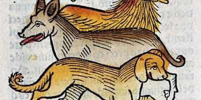 nombres-medievales-para-perros