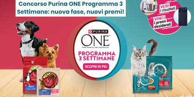 Non perdere l'opportunità di vincere questi splendidi premi con Purina One!