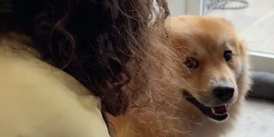 Olympe et sa Dog Routine