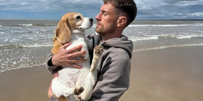 Oud-Arsenal ster wanhoop nabij nadat hond Halo spoorloos is