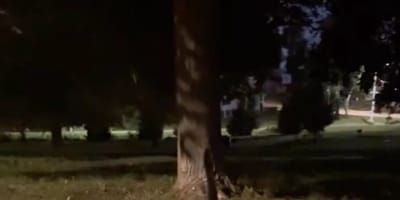Parc dans la nuit