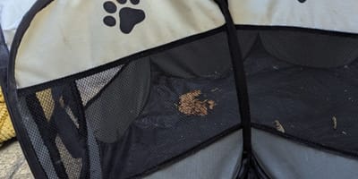 recinto per animali