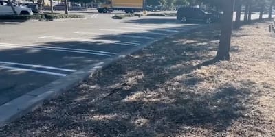 Supermarket car park