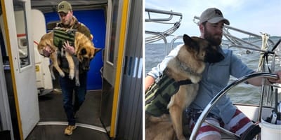 Deutscher Schäferhund im Militärflugzeug mit Hundehalter