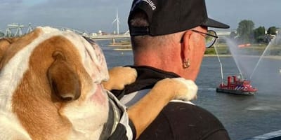 Peet en Bulldog Bep op de Nijmeegse avondvierdaagse