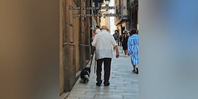 perro-abuelo-caminando-paso-lento-barcelona