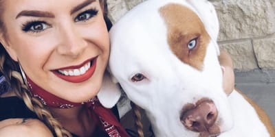 Haushaltsunfall mit Hund