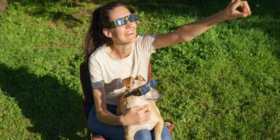 perro-eclipse-solar