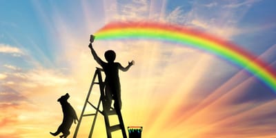 Hund-neben-Regenbogen