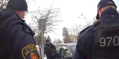 pies zamknięty w samochodzie na mrozie