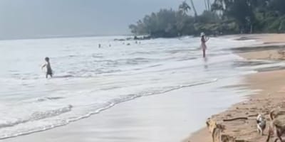 Plaża