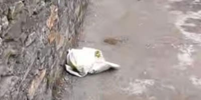 Sac en plastique trouvé sur le bord de la route