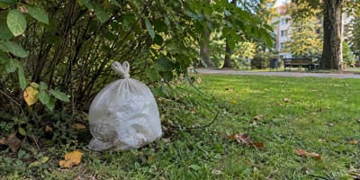 Plastiktüte im Stadtpark