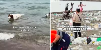 playas-tras-noche-san-juan-prohibido-perros