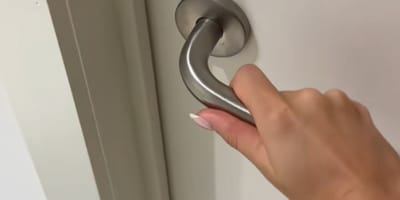 Poignée de porte