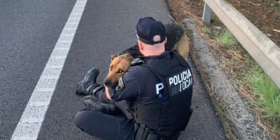 policia-mallorca-rescata-perro-carretera