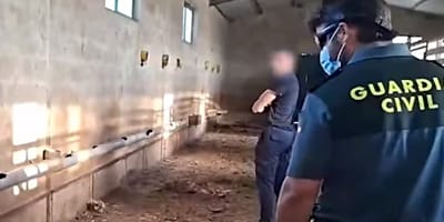 Polizisten am Tatort