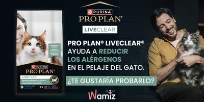 pro-plan-liveclear-para-gatos