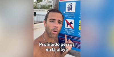 prohibido-perros-playa-video-veterinario-tomas-palomares-rolandi