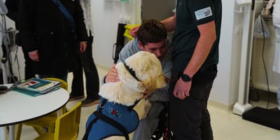 purina-hospital-trueta-terapia-perro-con-niños-paralisis-cerebral