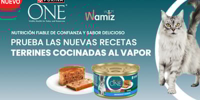 purina-ONE-esterilizado-terrine