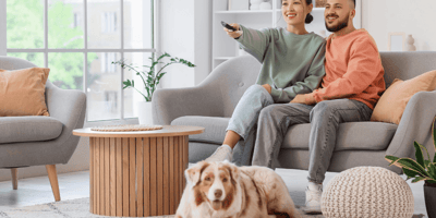 Purina Pro Plan campaign