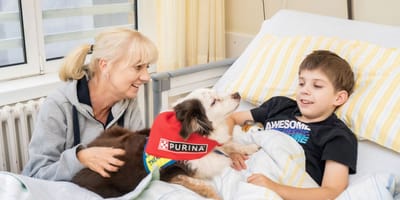 PURINA unterstützt seit Anfang 2026 die wertvolle Arbeit von Kinderschutzengel e.V., der mit Therapiebegleithunden kleine Patienten im Krankenhaus besucht und ihnen Ruhe und Zuversicht schenkt