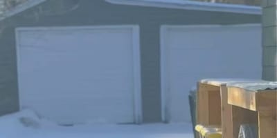 Neighbourhood in the snow